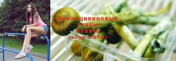 ПСИЛОЦИБИНОВЫЕ ГРИБЫ Белоозёрский