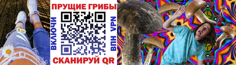 Галлюциногенные грибы мухоморы  сайты даркнета как зайти  Верхняя Тура  где можно купить  